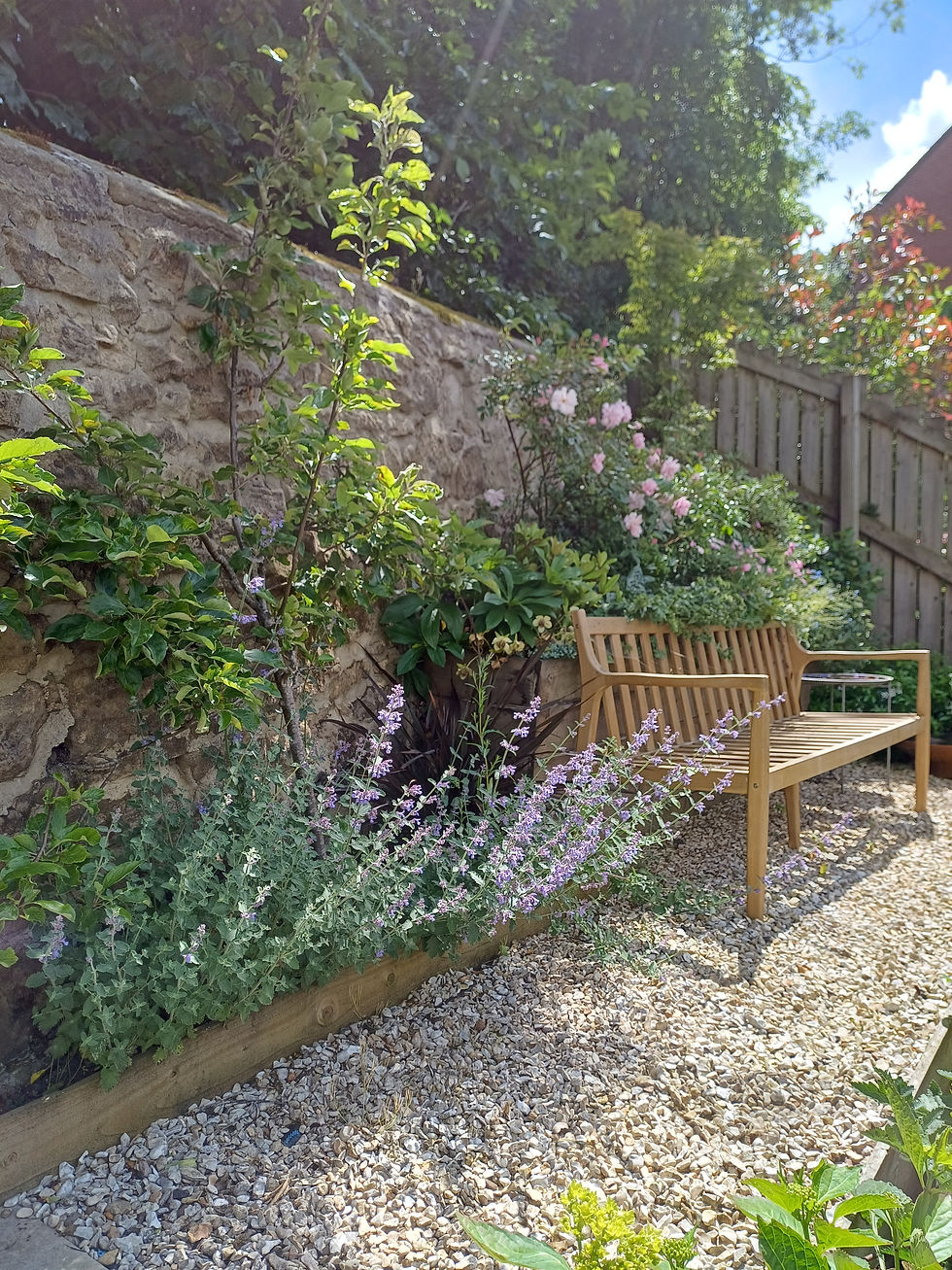 Scent and movement of nepeta and pink roses surround a wooden bench