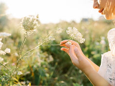 7 Day Natural Reset