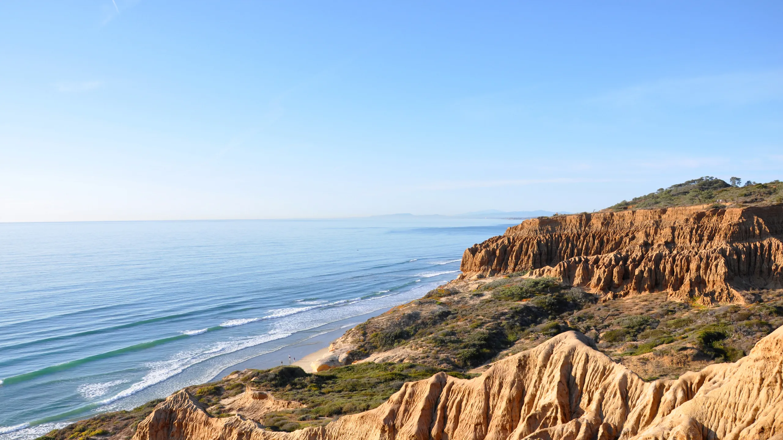 Torrey-Pines_2018_Torrey-Pines-Cliffs--Courtesy-Lisa-Field-SanDiego.webp
