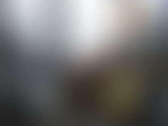 Get to know characters of my blog