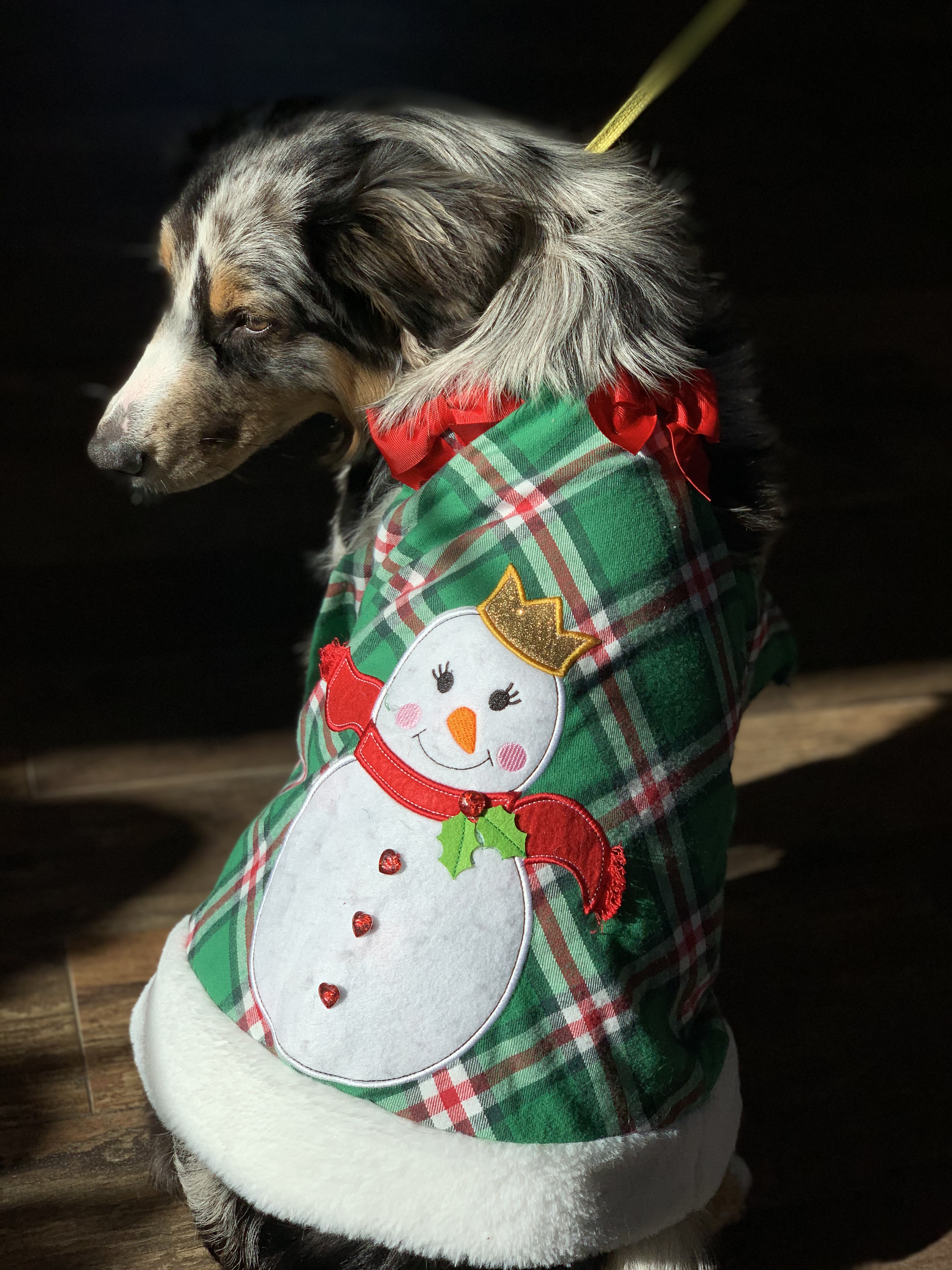 Christmas Party at the PawsCienda Pet Resort in Virginia