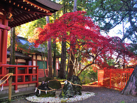 延喜式内名神大社 生島足島神社 日本 延喜式内名神大社 生島足島神社 日本