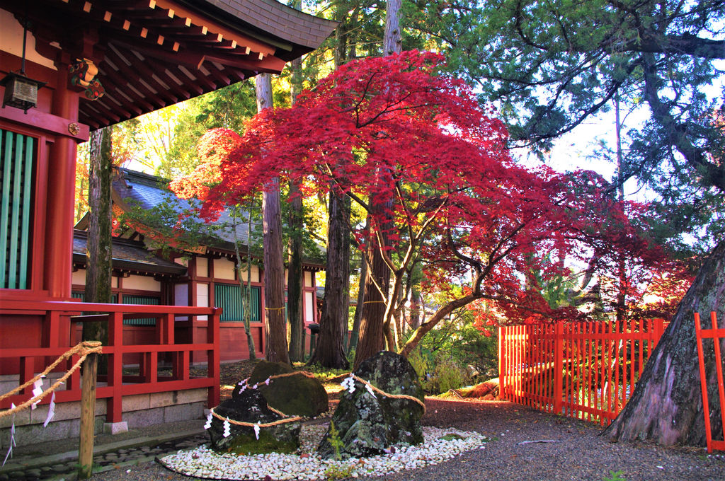 延喜式内名神大社 生島足島神社 日本 延喜式内名神大社 生島足島神社 日本