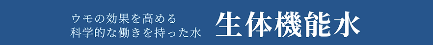 スクリーンショット 2023-05-26 10.23.15.png