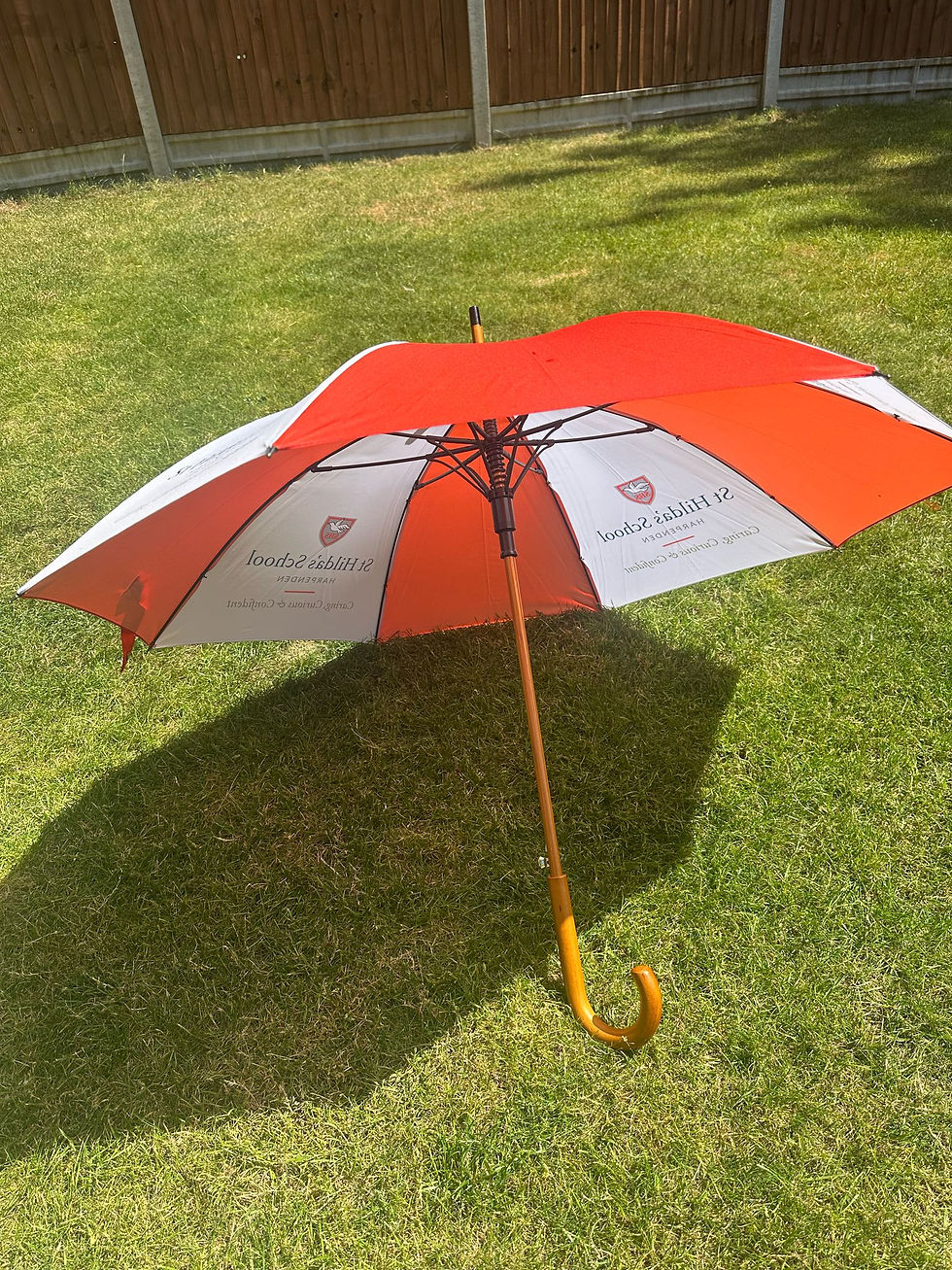 Thumbnail: Large St Hilda’s Umbrella 