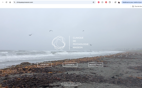 paysage de bord de mer brumeux avec des oiseaux