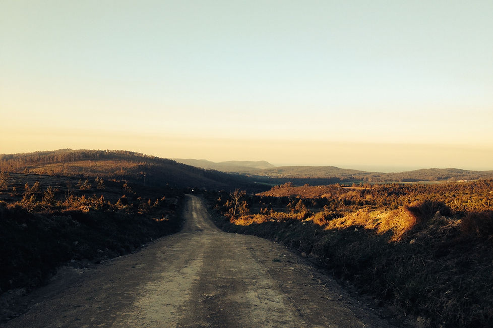 Camino de Santiago.jpg