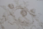 ree