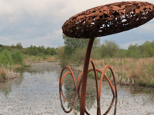 Lough Boora: a wild beauty in the heart of the midlands