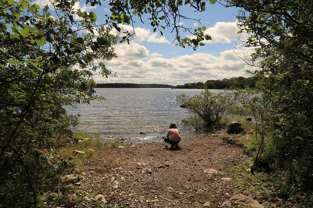 Portlick Forest Trail