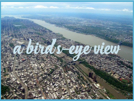 A Bird's-Eye View