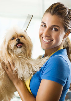 Pet Grooming Scene