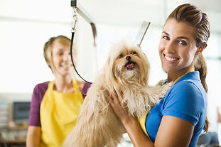Doggy Friseur