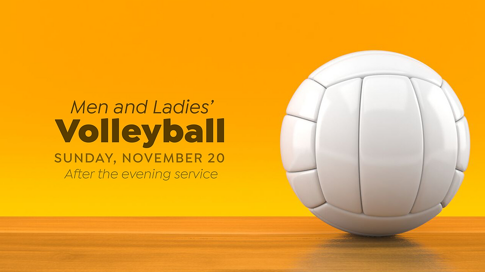 Men and Ladies' Volleyball