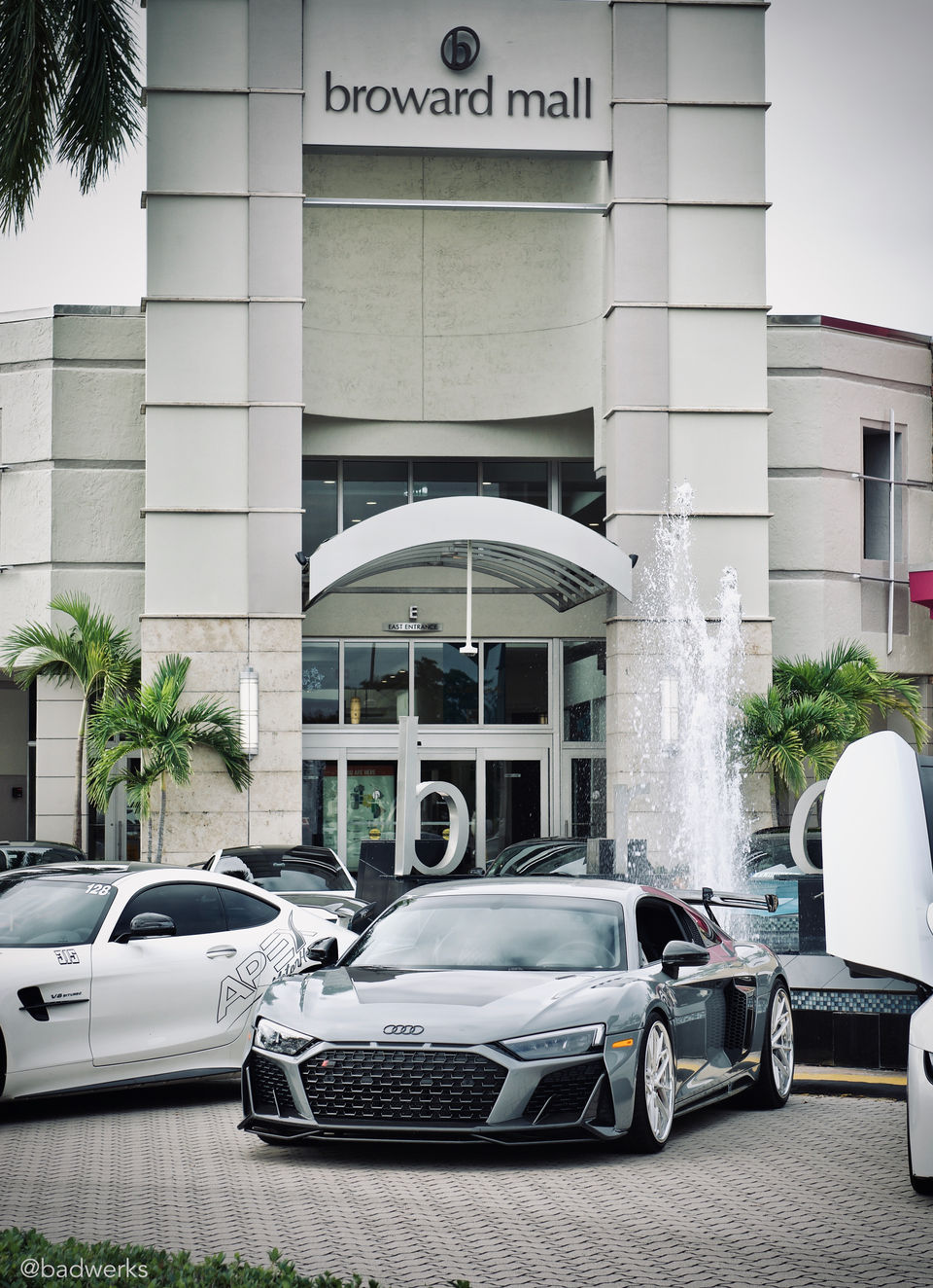 _BOA5087 Bo Asciu.jpg