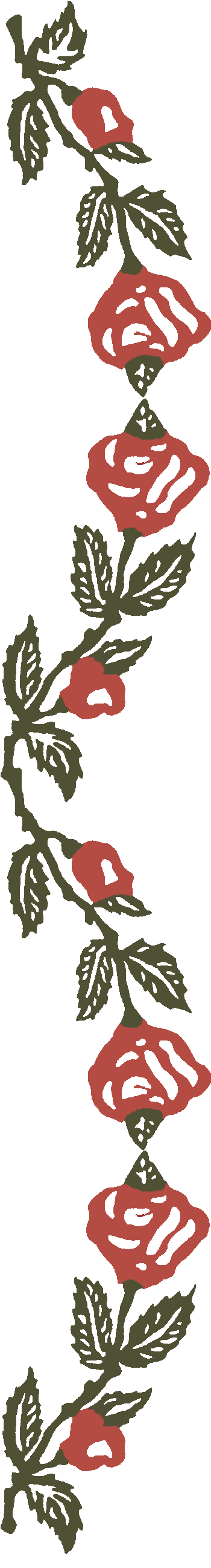 RBRosebudTinBorder4.gif