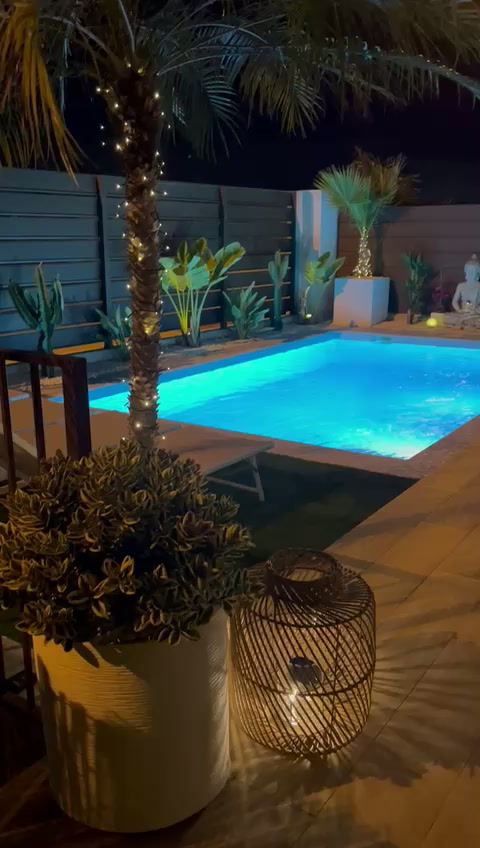Video am Abend.mp4