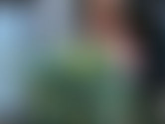 きれいな青いドライフラワー