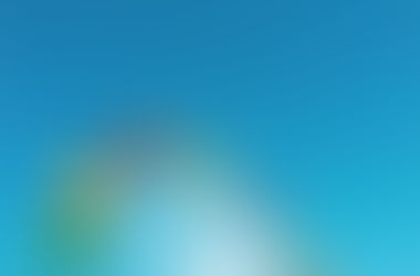 Amusement Park Trivia