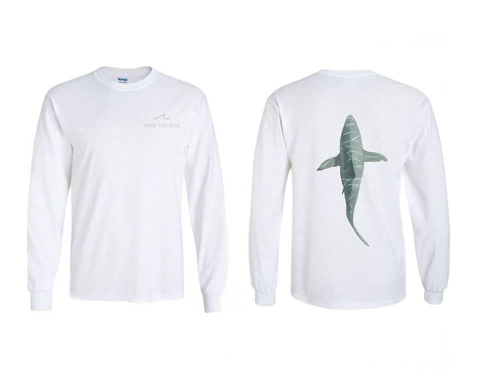 Thumbnail: Shark Short & Long Sleeve t-shirt