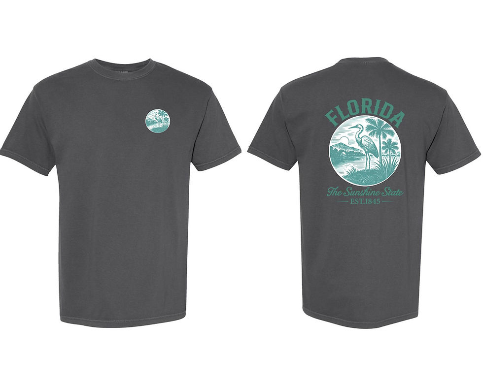 Thumbnail: The Sunshine State Long & Short Sleeve t-shirt