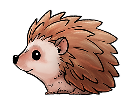 Hedgehog_Cute_001.png
