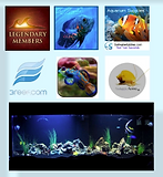 Screenshot 2024-01-10 at 2.56.41 PM.png