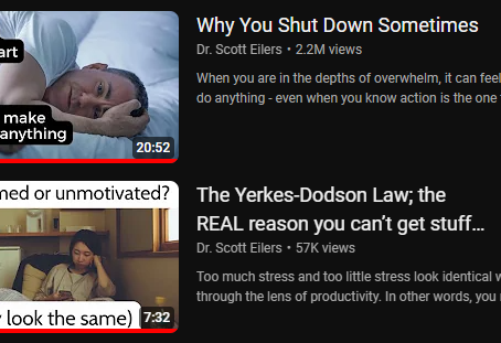 Why We Shut Down Sometimes & Effective Strategies to Support Ourselves