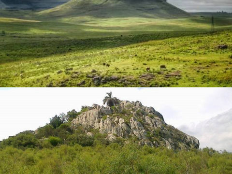 Cerro Chato y Cerro Pelado: cuando Uruguay nombraba el paisaje sin vueltas