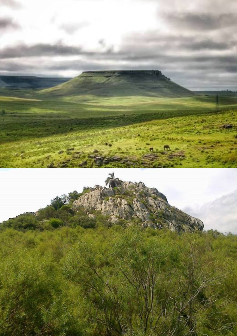 Cerro Chato y Cerro Pelado: cuando Uruguay nombraba el paisaje sin vueltas