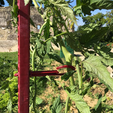 3557407018024 copie.jpg