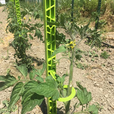 IMG_2703 avec logo.jpg