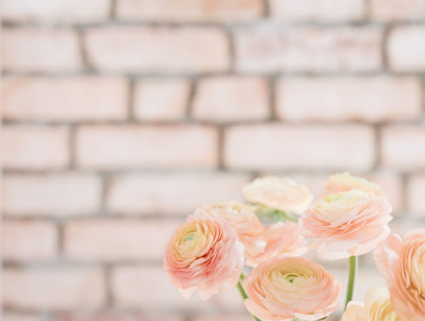 spring flowers against brick wall background