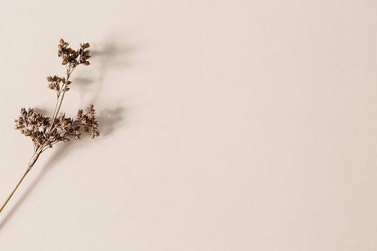 haute-stock-styled-stock-photo-subscription-rosa-by-moyo-collection-final-19 (1)_edited.jp