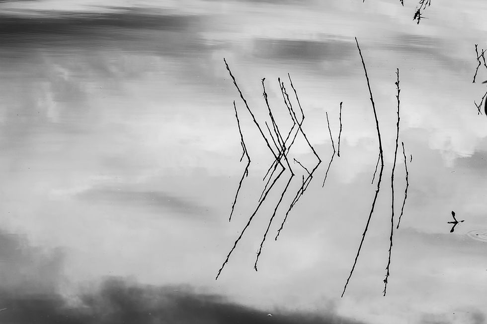 Reflections