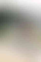 Planning your Engagement Photo Session in Budapest? Discover the most iconic locations for an editorial, fine art pre-wedding photoshoot with local experts Adry & Greg.