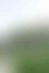 villa-grandmaros-wedding-hungarian-wedding-photographer