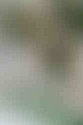 villa-grandmaros-wedding-hungarian-wedding-photographer