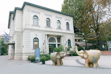 wedding photography in Hungary