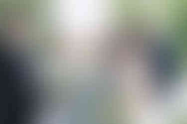 Bridgerton themed wedding