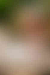 Bridgerton themed wedding