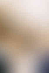 Bridgerton themed wedding