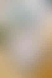 Bridgerton themed wedding