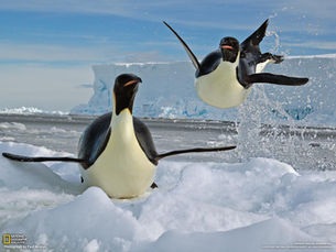 Linux Basics for the Aspiring Hacker, Part 2 (Finding stuff)