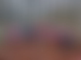 Dem Nikolaus auf der Spur...