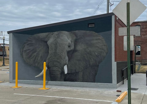 3d Anamorphic Murals 