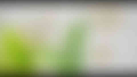 Deloitte_Creative collitions_09