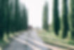 Tuscany Private Tour_ 216.jpg