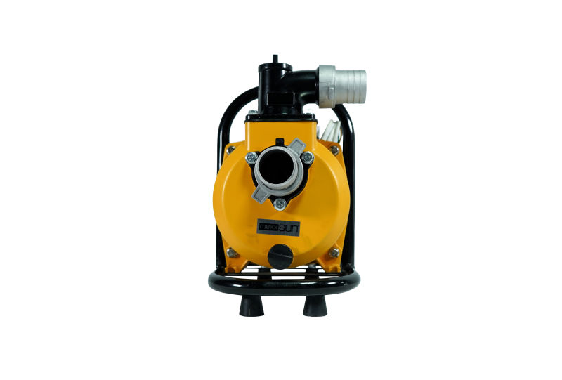 Küçük resim: DC Yüzey Pompa 1.5Hp 1100W (SFP20-17-1100W/96V)