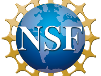InformAI Awarded Prestigious National Science Foundation Grant